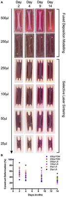 Scalable 3D Printed Molds for Human Tissue Engineered Skeletal Muscle